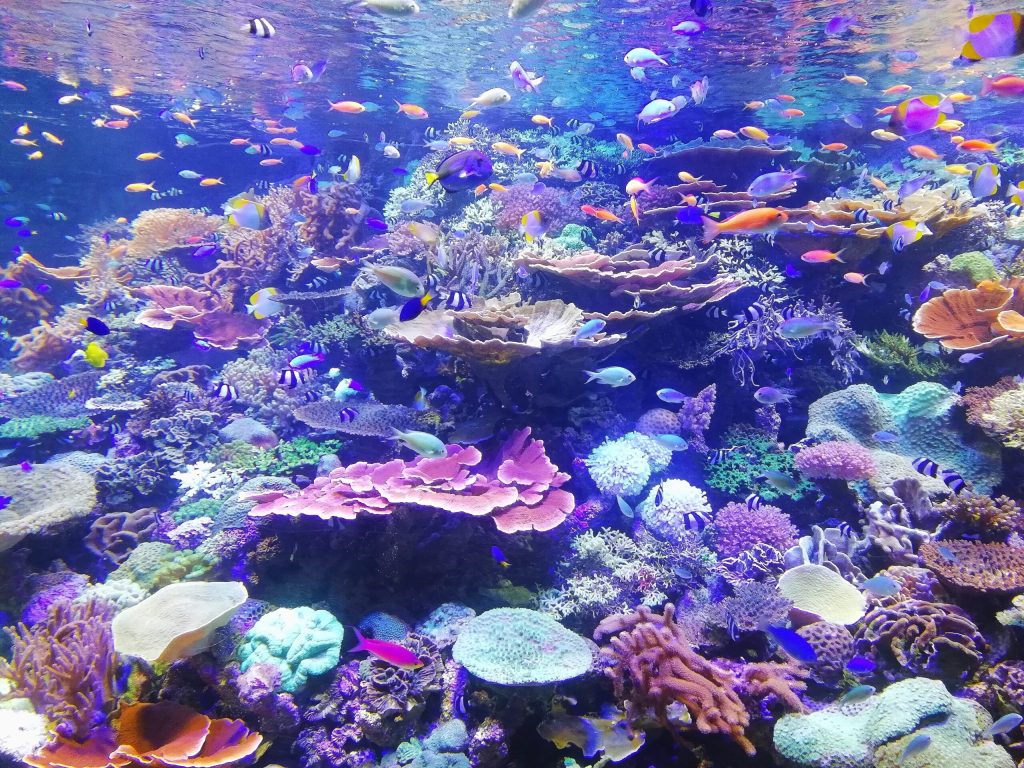 Aquarium