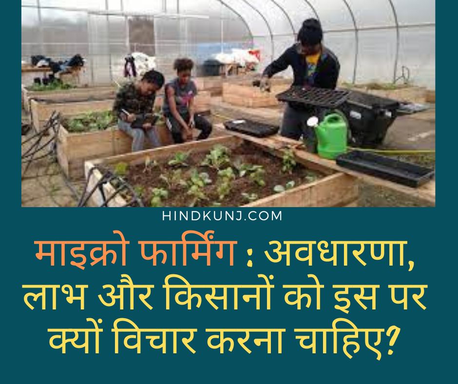 https://hindkunj.com/