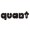 Quant Active Fund
