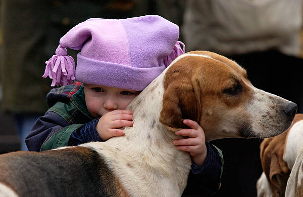 Understand mystery dog illness otherwise, your dog may be in trouble!